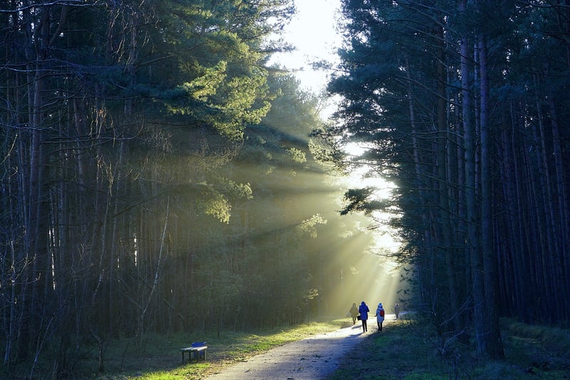Hiking Trail